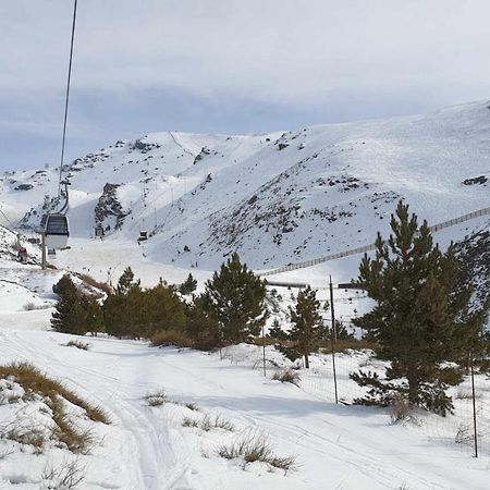 Estudio Mariposa Sierra Nevada Bagian luar foto